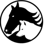 Profilový obrázek Horse & Wolf - Fantasy focení (celá ČR)