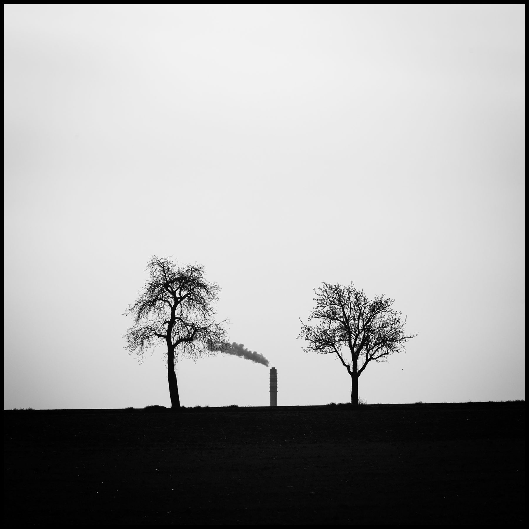 dva-stromy-komin-fotoobraz-ram_2000 